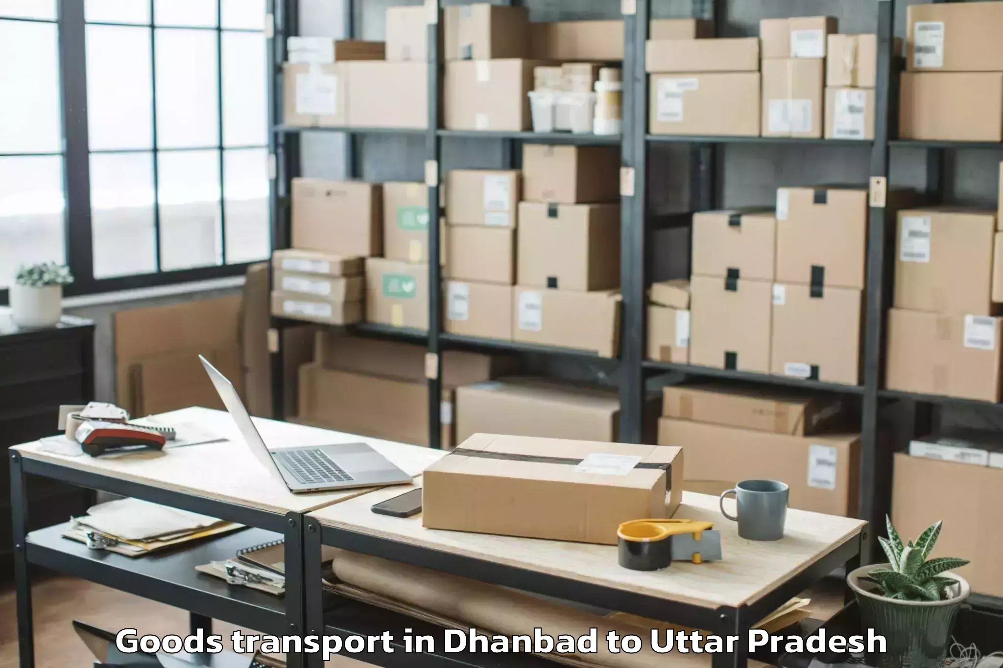 Efficient Dhanbad to Lambhua Goods Transport